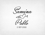 sello-boda-flechas-samina-y-pablo